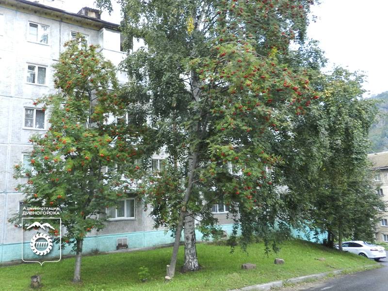 Мероприятия 1 сентября.
