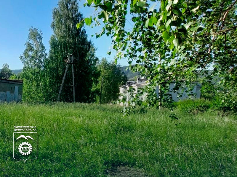 Урбан-форум.