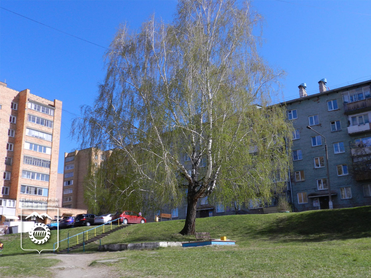 Как признаться своему городу в любви?.