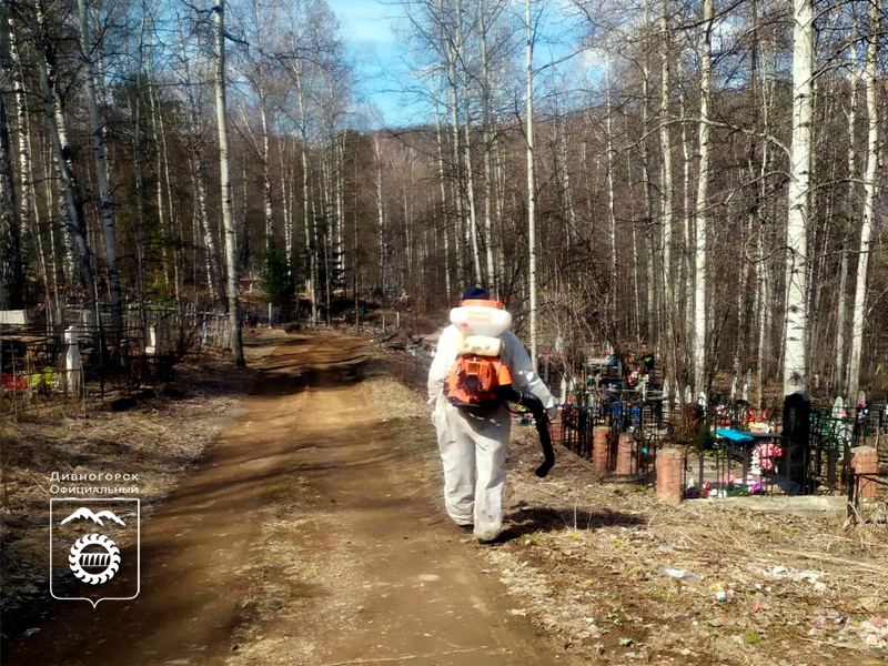 Дивногорск и поселки начали обрабатывать от клещей.