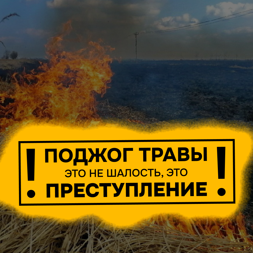 Почему опасно устраивать стихийный пал травы?.