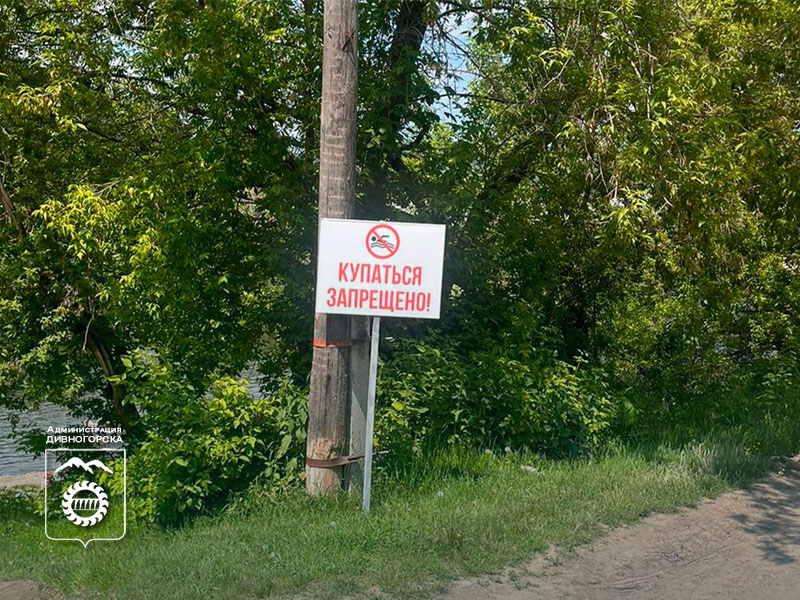 Лето близко: где нельзя купаться в Дивногорске и почему это важно.