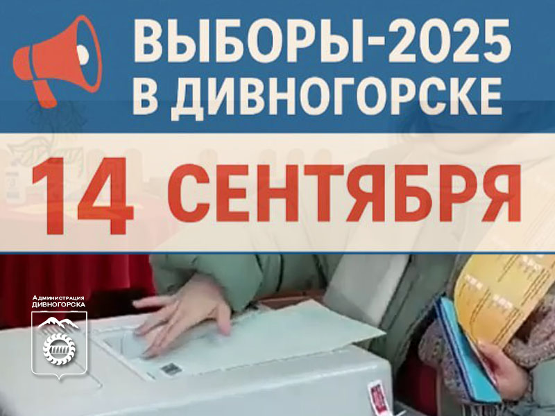 Прокуратура края организовала «горячую линию» по вопросам защиты избирательных прав.