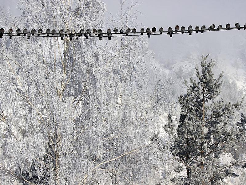 В Дивногорске на выходных ожидается сильный мороз.