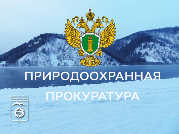 Красноярская природоохранная прокуратура информирует. Красноярская природоохранная прокуратура информирует.
