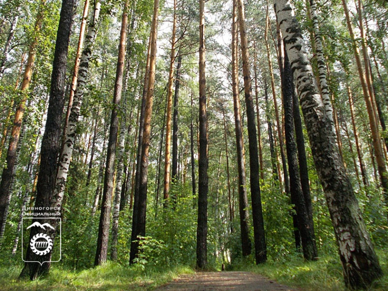Сведения о лесопарковых зеленых поясах подлежат внесению в ЕГРН. Сведения о лесопарковых зеленых поясах подлежат внесению в ЕГРН.