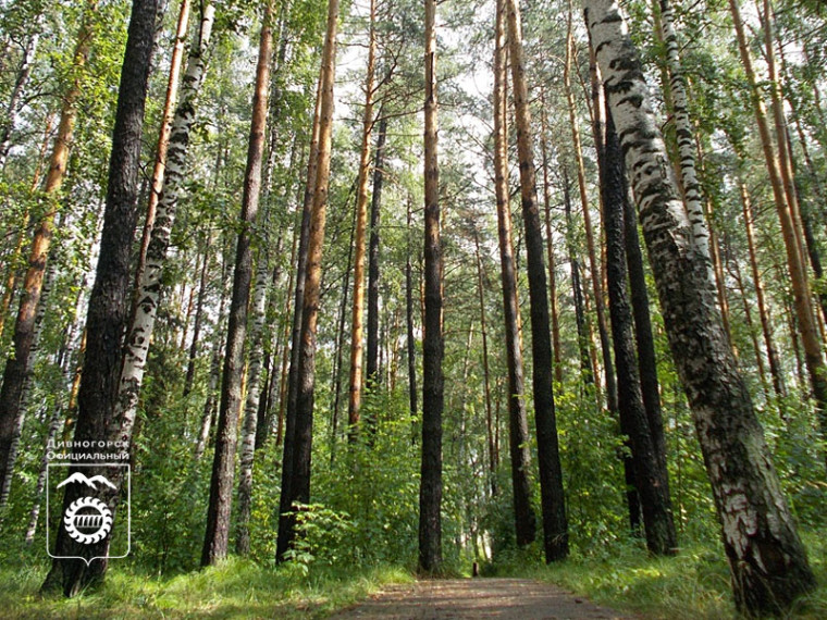 Сведения о лесопарковых зеленых поясах подлежат внесению в ЕГРН.