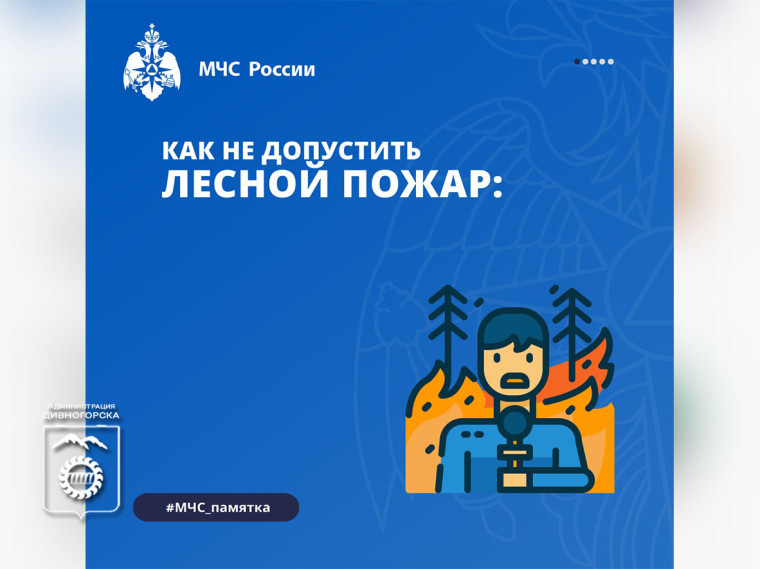 Как не допустить лесной пожар.