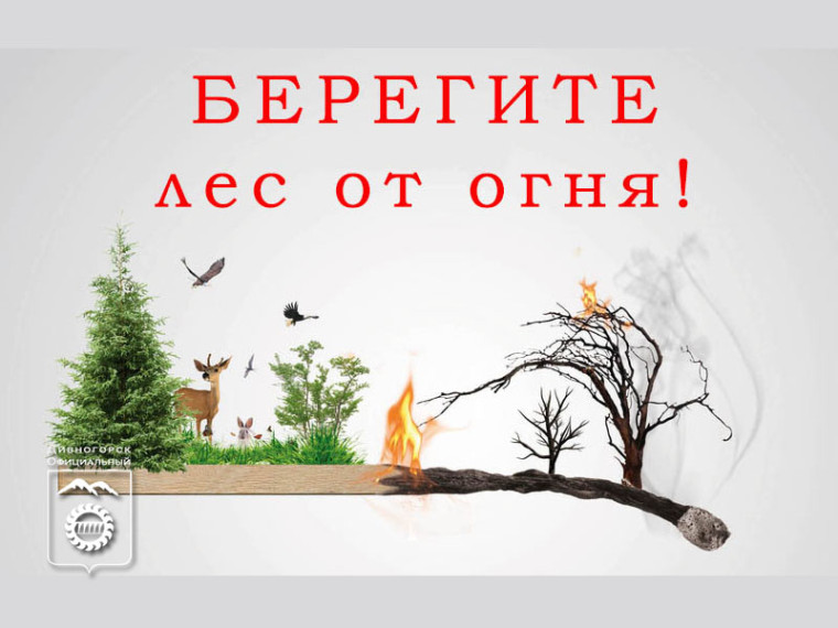 Особый противопожарный режим действует в Дивногорске. Особый противопожарный режим действует в Дивногорске.
