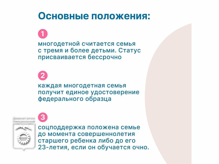 Президент России Владимир Путин подписал указ, закрепляющий статус многодетных семей и определяющий меры поддержки для них.