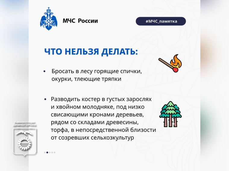 Как не допустить лесной пожар.
