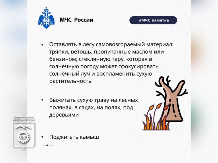 Как не допустить лесной пожар.