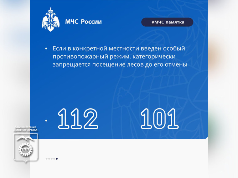 Как не допустить лесной пожар.