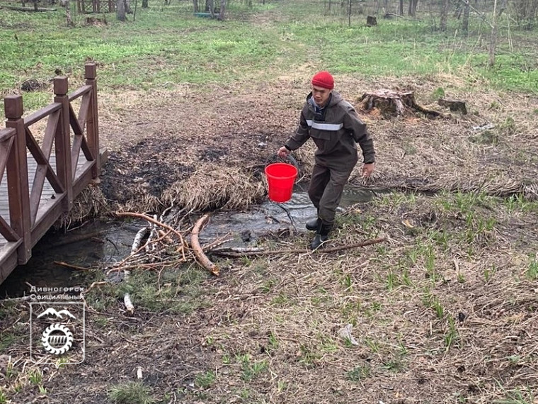 Студенты техникума лесных технологий продолжают патрулировать лес в окрестностях Дивногорска.